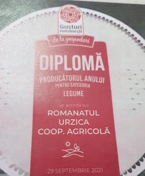 Romanatiul